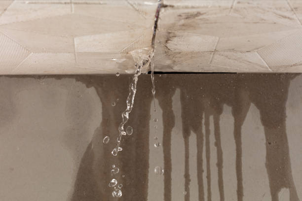 Professional Structural Drying technician working in Huntsville, UT